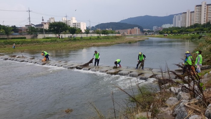 7.21 남천2.jpg