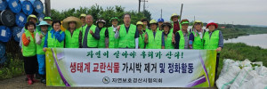 7.17 가시박1.jpg